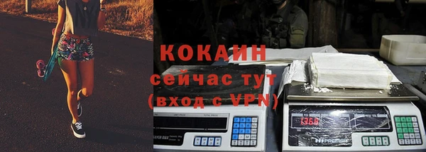 дживик Абаза