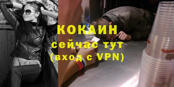 дживик Абаза