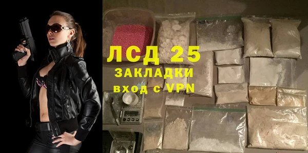 дживик Абаза