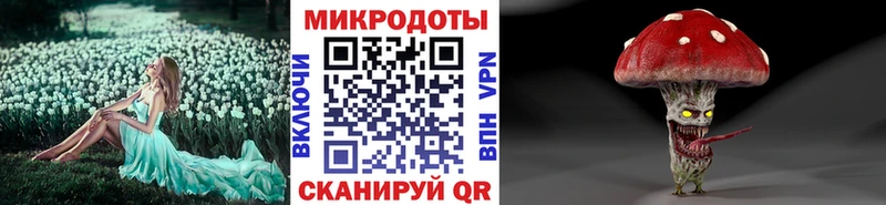 Галлюциногенные грибы Psilocybe  магазин  наркотиков  Железногорск-Илимский 
